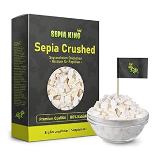 Sepia King - Frattura seppia in qualità premium - Calcio per tartarughe, barbagame, gechi, rettili - Calce per mangime, accessori per terrario calce - Nessun residuo o spreco