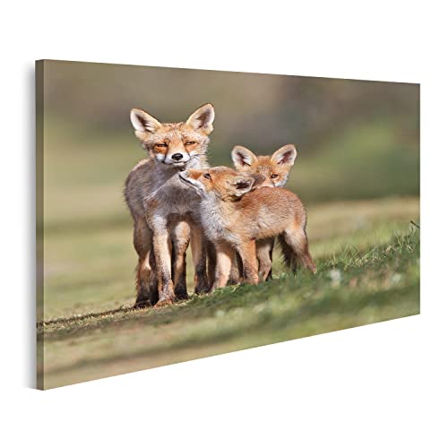 Tableau sur toile Renard roux de chez islandburner avec cadre pour affiche poster murale