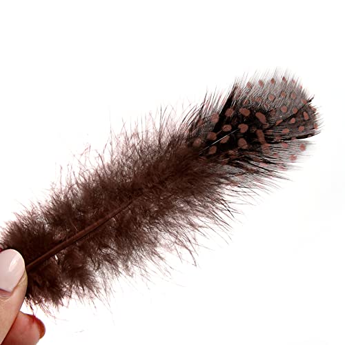 Tharaht 120Pcs Coffee Spotted Small Natural Bulk Feathers 2-3 Inches For For Sewing Crafts Clothing Jewelry Wedding Hair Hats Dream Catcher Decoration Guinea Fowl Feathers #TOP1