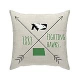 Pegasus Sports NCAA Cross Arrow Decorative Throw Pillow- North Dakota Fighting Hawks