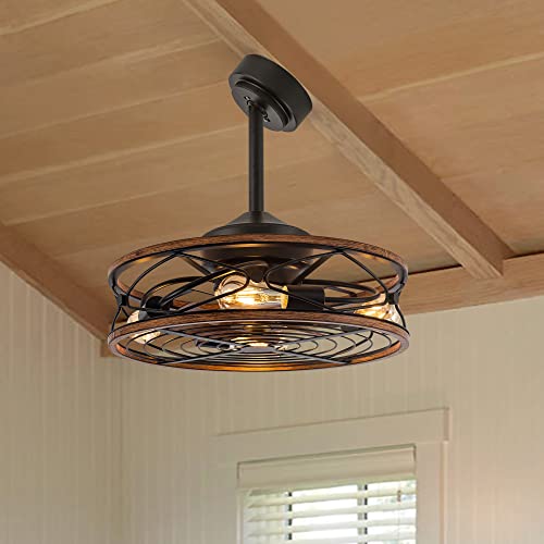 Tiferor Caged Ceiling Fan With Light, 20 In Bladeless Remote Control, 3 Speeds Low Profile Modern Enclosed Fans Reversible Motor, Black #TOP2