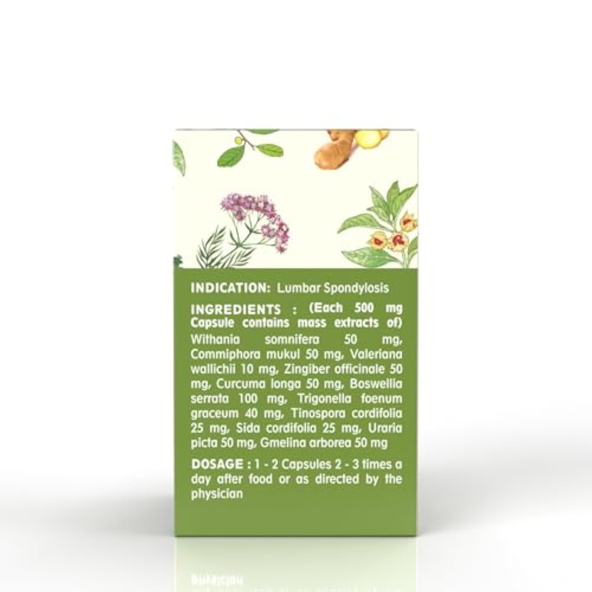 Lumbavit Capsules for Spine Wellness, Ayurvedic, 30's Pack