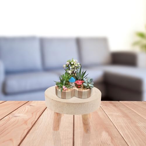 KESYOO ؎lrv^[X^h A ϗtAp VvfUC K[fp ԑ