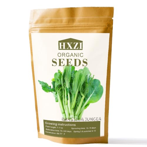 Choy Sum Seeds, Pack of 3000 Chinese Cabbage, Asian Vegetable Seeds for Planting