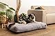 Beeztees Minus One Hund, Liegekissen, Hundebett, Hellgrau, 100x70x15 cm