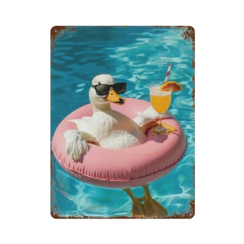 Cartel de metal de pato de hierro para pared en formato 40x30 cm