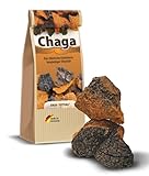 Broches chaga de siberia - Trozos de hongo siberiano, 500 g, el original siempre fresco, vea las fotos solo de tiendas especializadas