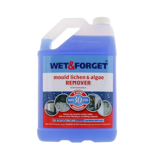 Wet and Review Is This Cleaning Solution Any Good?