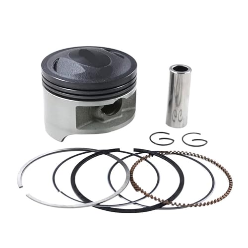 �I�[�g�o�C�V�����_�[�{�A�T�C�Y 66 .25 .50 67 �~�����[�g���s�X�g�������O�L�b�g DF200 DR200SE DR200 DR200S RV200 VanVan RV DF 200(Piston Kit 66.50 mm)