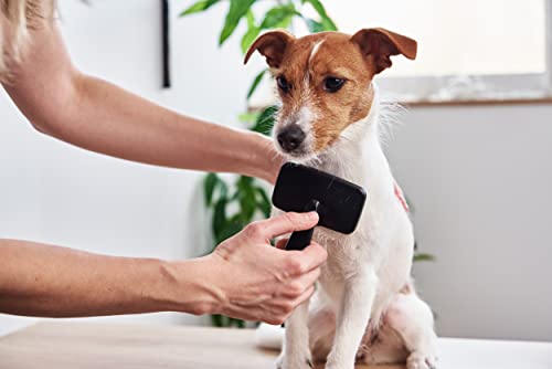 Lammfellbürste für Lammfelle und Schaffelle, Universal-Pflegebürste mit Softgriff, Hundebürste Langhaar, Fellbürste für Haustiere, Hunde Bürste und Katzenbürste Langhaar Kurzhaarbürste, schwarz/rot