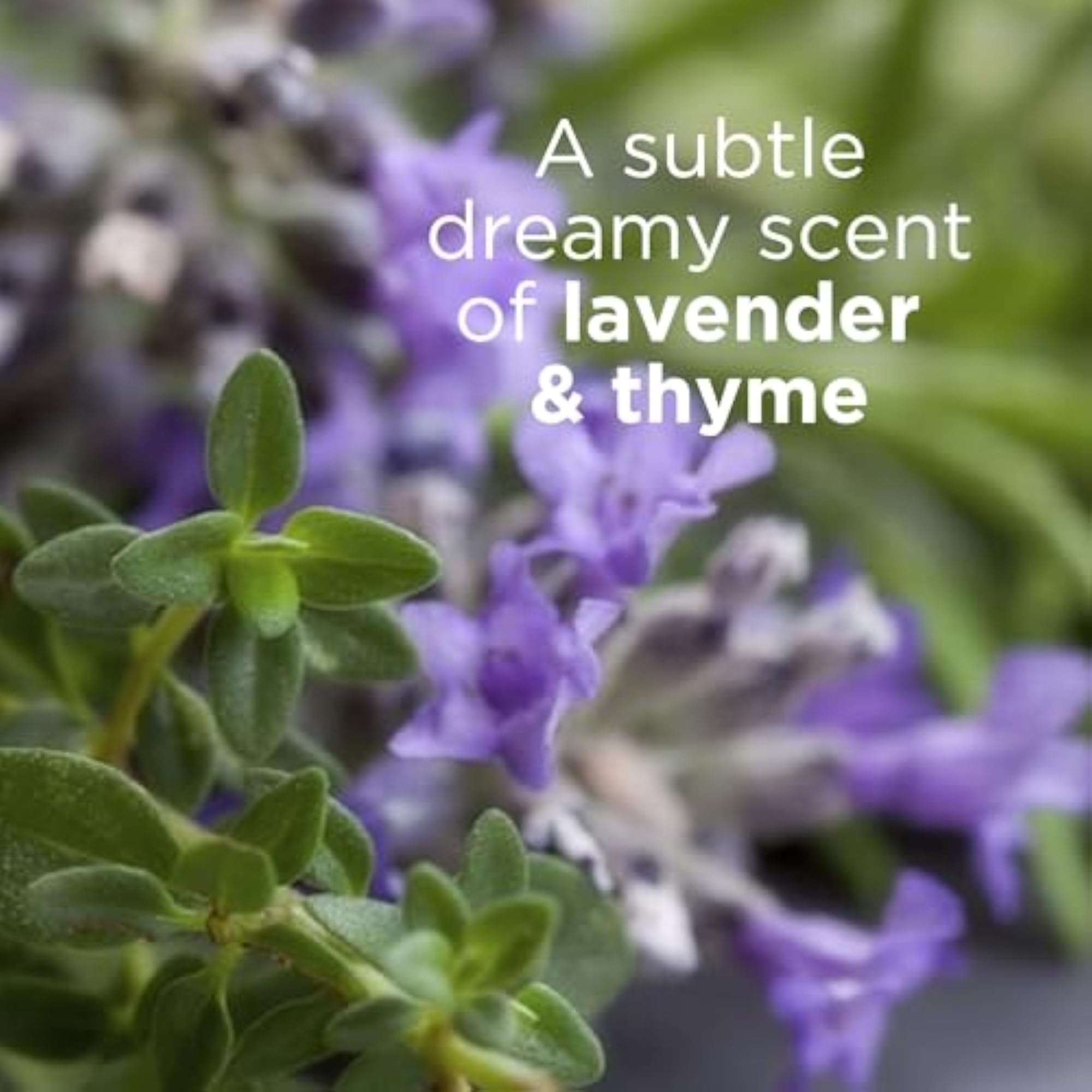 Refreshing Lavender Thyme Body Lotion