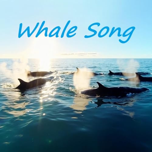 🌀 Whale Song | Short Deep Sea Meditation to Receive a Message from Within 🐋