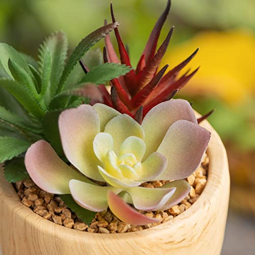 Succulents Plants Artificial, Faux Succulents In Wood Grain Potted,Lifelike Small Fake Succulents With Fake Flowers For Home Office Decor #TOP2
