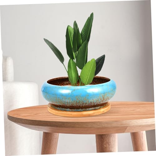 Pot de fleur céramique vintage comme cadeau idéal déco intérieur