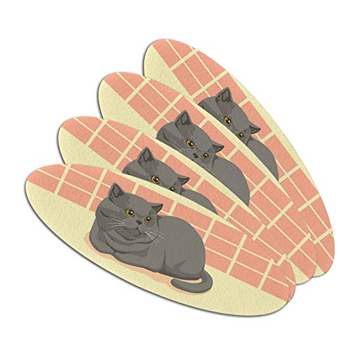 Chubby British Short Hair Grey Cat Double-Sided Oval Nail File Emery Board Set 4 Pack