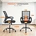 BestOffice Office Chair Ergonomic Cheap Desk Chair Mesh Computer Chair Lumbar Support Modern Executive Adjustable Stool Rolling Swivel Chair for Back Pain (Black)