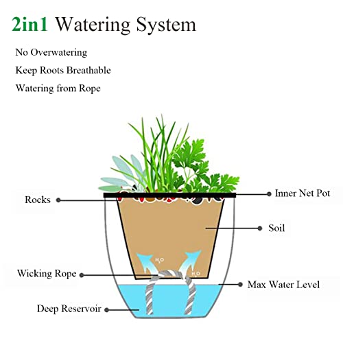 Tectsia 4/4/6 Inch Self Watering Pots For Indoor Plants, 3 Pack Easy Plant Plastic Flower Planters Large Herb Planters With Drainage Holes And Deep Water Reservoir Cylinder Style - White #TOP1