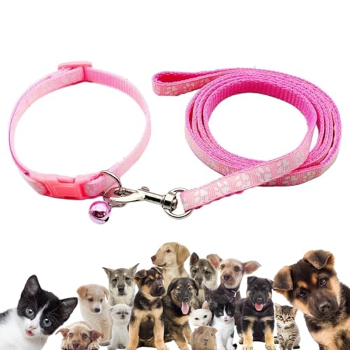 DORKIN Klassische Hundehalsbänder, Halsband- und Leinen-Set für kleine Hunde, rosa, leicht und bequem, ideal für kleine und mittelgroße Hunde und Katzen.