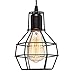 Konesky Vintage Paralume della Gabbia, Retro Fai Da Te Illuminazione a Filo di Ferro Lampada a Sospensione Paralumi di Ricambio per Gabbia di Protezione (Forma a pomelo)