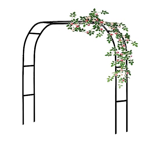 Support pour plantes grimpantes sous forme de pergola en métal et grande arche de mariage extérieure