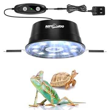 best heat lamp for crested gecko
