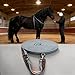 predolo Horse Rope Long Showing Quick Halter Attachment Performance Rope