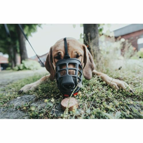 HUNTER ALBURY Hundemaulkorb, mit herausnehmbarem Giftköderschutz, 3, schwarz