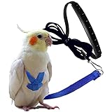 Dnoifne Parrot Harness and Leash, Adjustable Training Design Anti-Bite, Nylon Rope with Cute Wing for Parrots, Suitable for Alexandrine, Scarlet, Keck, Mini Macaw & Same Size Bird (Blue)