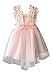 Baby Girls Sleeveless Lace Wedding Vintage Birthday Party Princess Flower Dress 2T Pink