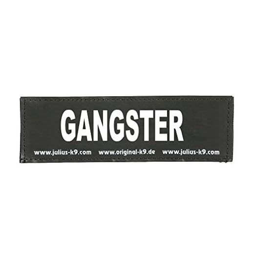 Julius-K9, 162LR-G-32311, ORIGINAL verwisselbare patches, Maat: Groot, Zwart label met witte fluorescerende tekst, 1 paar, GANGSTER
