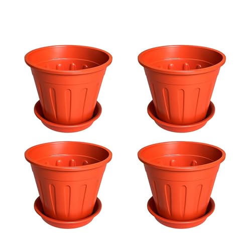 Image of 6 inch Plant Pot with Base Plate (Set of 4 Pot + 4 Base Plate) | Indoor Flower Pot with Saucer | Premium Flower Pots for Plants