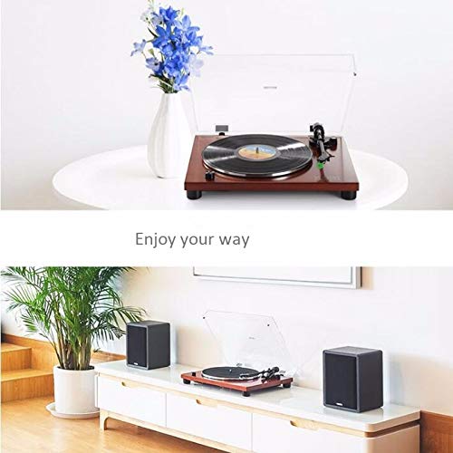 Qualité LP HiFi Son Vinyle phonographes Retro Gramophone Enregistrement Moderne Lecteur, USB Transcription, Prise en Charge Audio Sortie d’enregistrement, de Suivi Stable, Propre Son - Les Beatles, Paul McCartney, John Lennon, RIngo Starr, George Harrison Qualité LP HiFi Son Vinyle phonographes Retro Gramophone Enregistrement Moderne Lecteur, USB Transcription, Prise en Charge Audio Sortie d'enregistrement, de Suivi Stable, Propre Son – Image 3