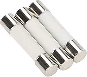 NESHO Fusible 5x25mm 100 Piezas Fusible De Tubo De Vidrio Flink Kits