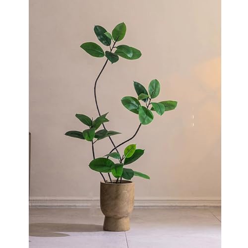 観葉植物 ガジュマル 大」の人気商品一覧 | 安い商品を通販サイトから