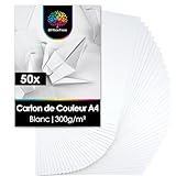 FORMAT A4 - OfficeTree 50 feuille blanche cartonnée A4 au format pratique A4 (21 x 29,7 cm) t'offre la taille idéale pour une multitude d'idées de bricolage et assure stabilité et solidité à chaque projet.