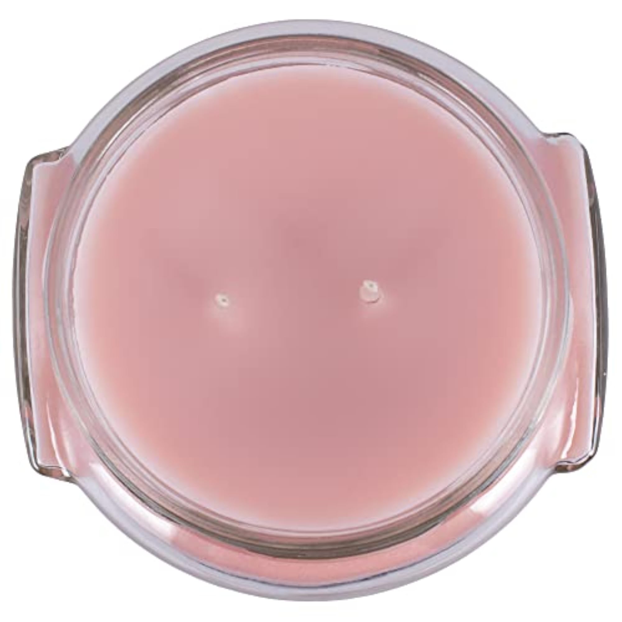 Tyler Celebrity 11 oz Medium Scented 2-Wick Jar Candle