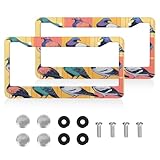 HISQSTUU Colorful Pigeons License Plate Frames 1 Pack Stainless Steel Car Tag Cover Holder 12x6 Inch Auto Parts Decoration with Screws