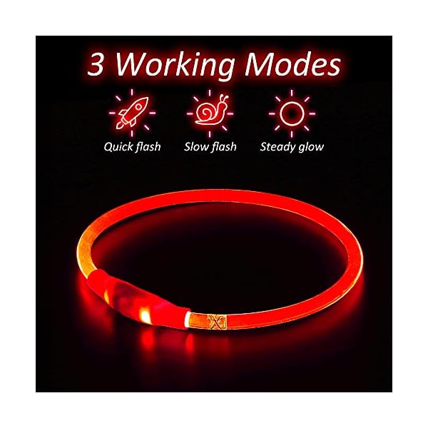 HIGO-LED-Dog-Collar-Rechargeable-Light-Up-Dog-Collar-LED-Safety-Necklace-for-Nighttime-Walking-Red Adjustable LED Dog Collar - GlowPup: The Ultimate Choice