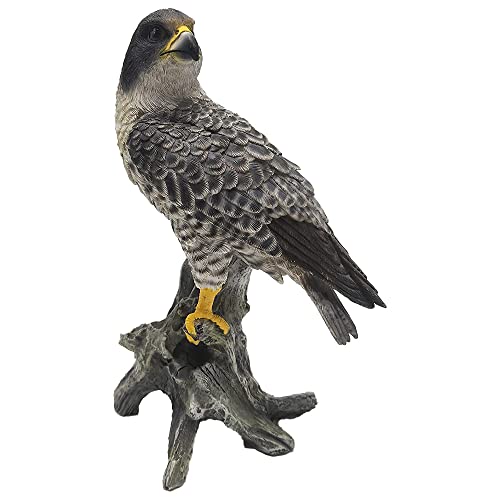 G&H Decor Peregrine Falcon 26cm Resin Statue - Amazing Detail British Falcon - Weather Resistant Bird Ornament - Image 4