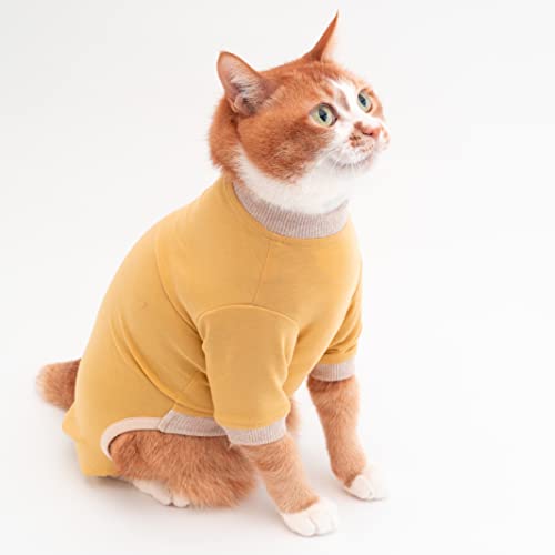 ۂۂ˂ LɗDL 畆ی앞iJo[I[EELтfށEߏO[~OE{j (M, CG[)