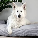 4L Textil Molly Boho Hundebett aus Cord Hundekorb große Hunde Hundekissen flauschig Hundekörbchen Hundesofa (100x80 cm, Grau)