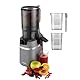Concept LO7120 Entsafter, 250 W dunkelgrau