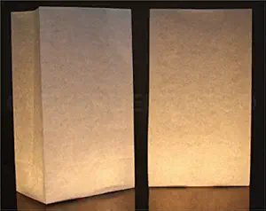 30 Pk - CleverDelights White Luminary Bags - Flame Resistant Paper - Wedding Christmas Holiday Luminaria