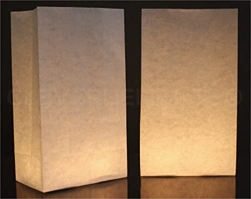 Image of 10 Pk - CleverDelights White Luminary Bags - Flame Resistant Paper - Wedding Christmas Holiday Luminaria
