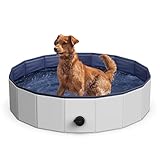 Petace Foldable Dog Pool, 31.5' Portable Kiddie Pool, Rectangular, Anti-Slip, Portable, Hard Plastic Swimming Pool & Bath Tub for Dogs & Kids, Indoor & Outdoor Pet Wading Pool