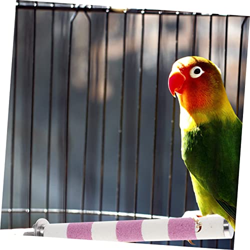 PartyKindom Papageiensitzstange 20cm aus Edelstahl Bissfester Kratzstock für Vogelkäfig Spielzeug für Wellensittiche Papageien und Ziervögel