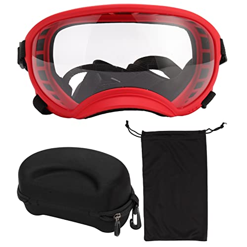 Lunettes pour chien de grande race pour sorties en voiture et balades à la montagne