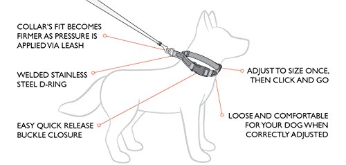 EzyDog Hundehalsband Checkmate – Zugstopp Halsband zum Erziehen für Hunde – Verstellbares Zughalsband für große, mittlere und kleine Hunde (M, Schwarz)