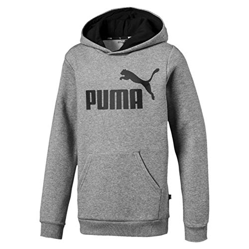 Preisvergleich Produktbild PUMA Essentials Jungen Hoodie Medium Gray Heather 104