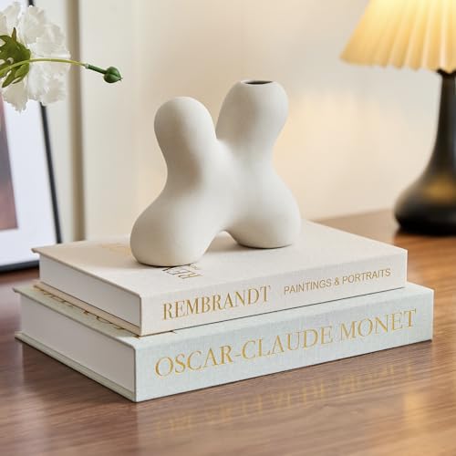 LMGOV Aesthetic Linen Decorative Fake/Faux Books for Coffee Table, Set of 2 Storage Boxs for Living...